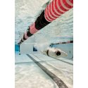 Finis® Turnmaster Pro Swim Wall