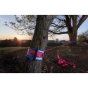 Elephant® Slackline Rookie Flash'line Set