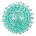 Sport-Thieme Pindsvinebold "Fast" ø 7 cm, Turkis