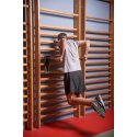 Sport-Thieme Sprossenwand mit Klimmzug-Dip-Stange Sprossenwand 230x80 cm