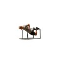 Sport-Thieme Bodyweight Gym
