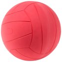 WV Blindefodbold