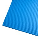 Sport-Thieme Fitnessmatte Blau