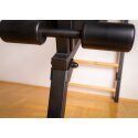 BenchK Sprossenwand Fitness-System "733" 733B, Schwarz