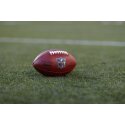 Wilson Football
 NFL Game Ball "The Duke"