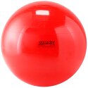 Gymnic Fitnessball "Universal" ø 55 cm