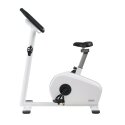 Emotion Fitness Ergometer "Motion Cycle 100 MED"