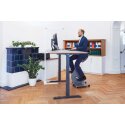 FitSeat Skrivebordscykel "Professional" Pure Nature
