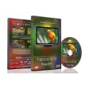 DVD Billeder og musik med dyr DVD Tropisk fugle fodring