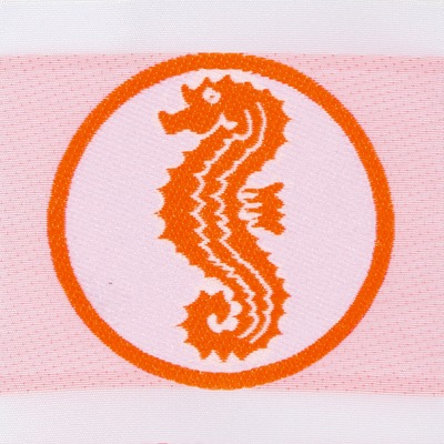 Schwimmabzeichen „Seepferdchen“