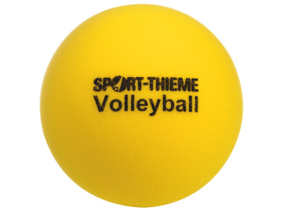 Sport-Thieme Skum-Volleyball