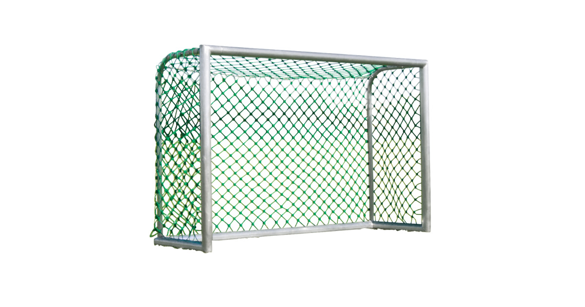 "Special" Leisure Goal buy at