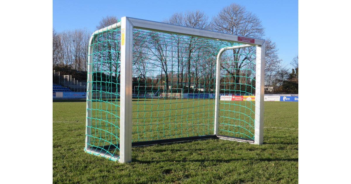 Sport-Thieme Mini-Fußballtor mit PlayersProtect kaufen - Sport-Thieme