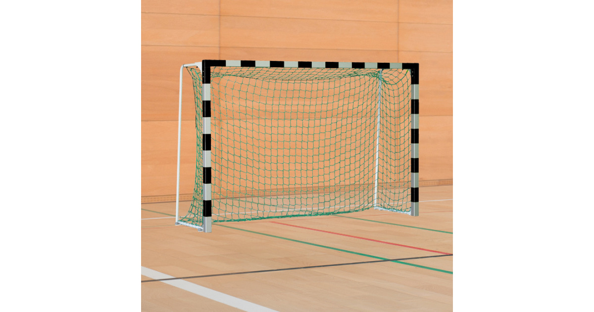 SportThieme Handballtor mit anklappbaren Netzbügeln kaufen SportThieme