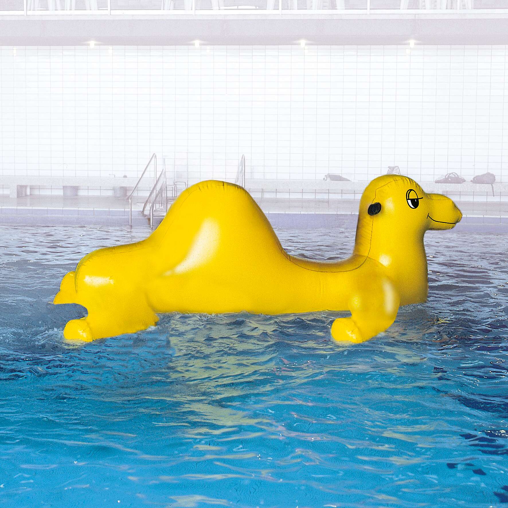 Airkraft Wasserobjekt „Kamel Nelly“