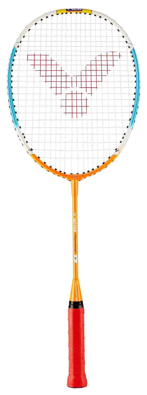 Victor Badmintonschläger „Training“