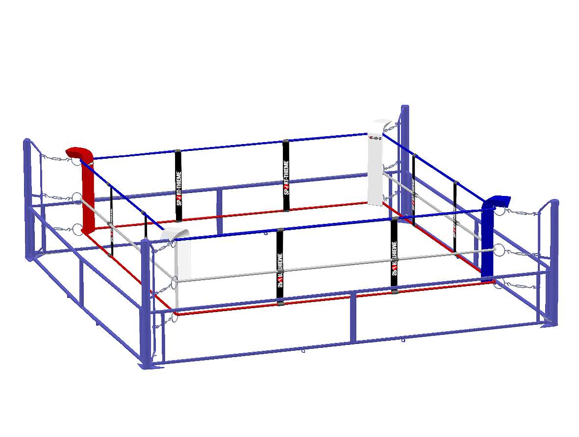 Sport-Thieme Boxring 