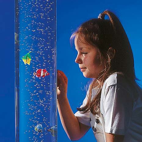 Deko Fische für Blasensäulen