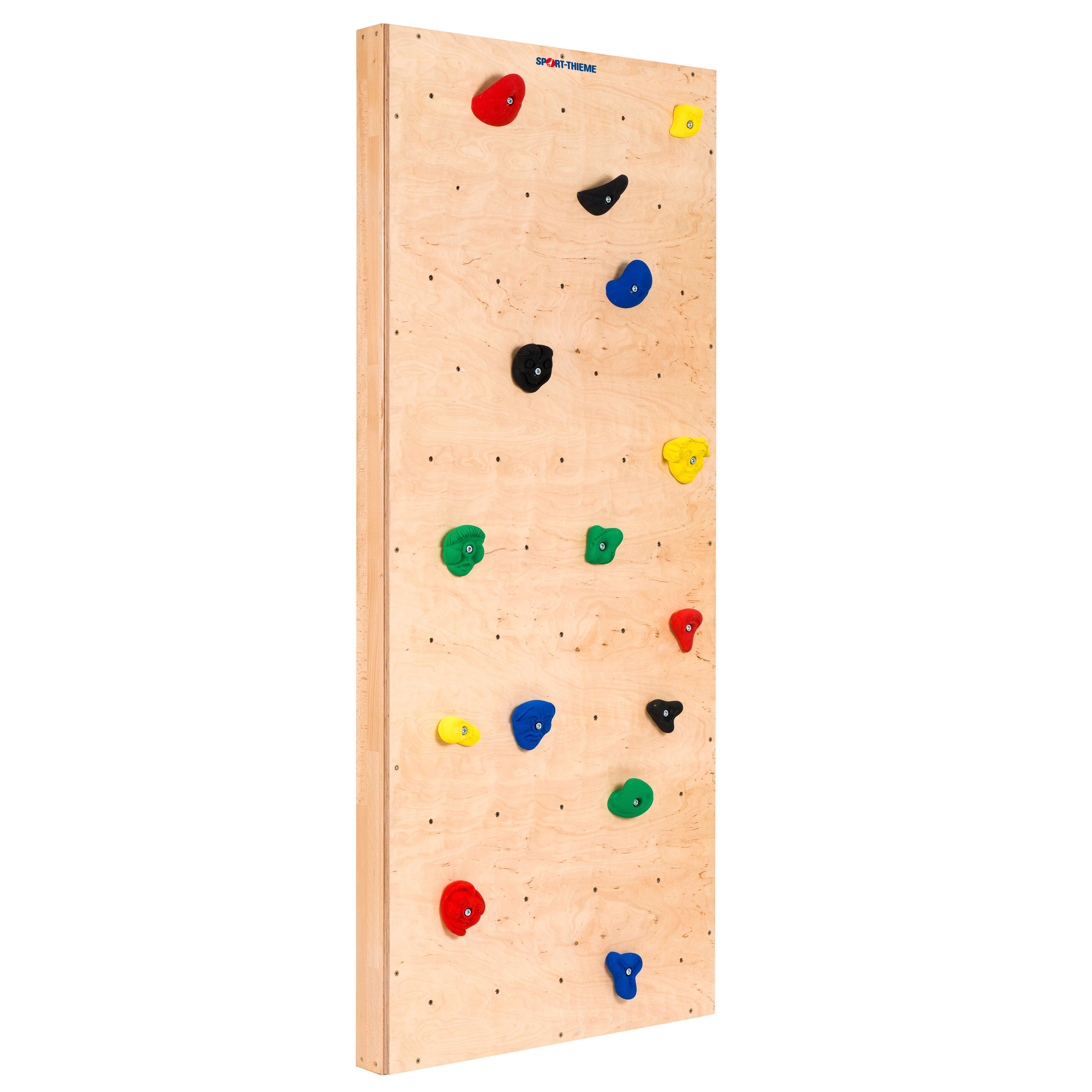 Sport-Thieme Turnwand-Einzelelement „TuWa Kletterwand“