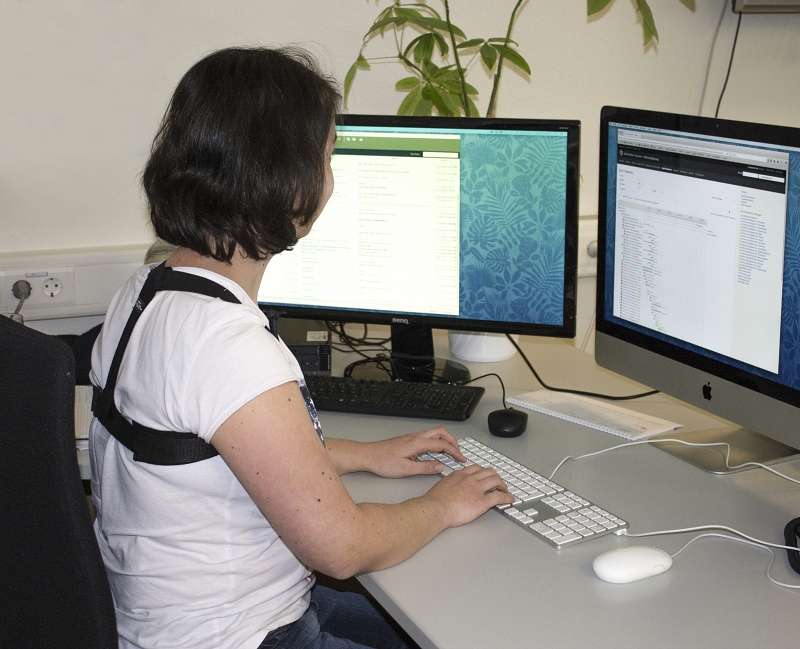 Swedish Posture® Rückentrainer "Flexi"