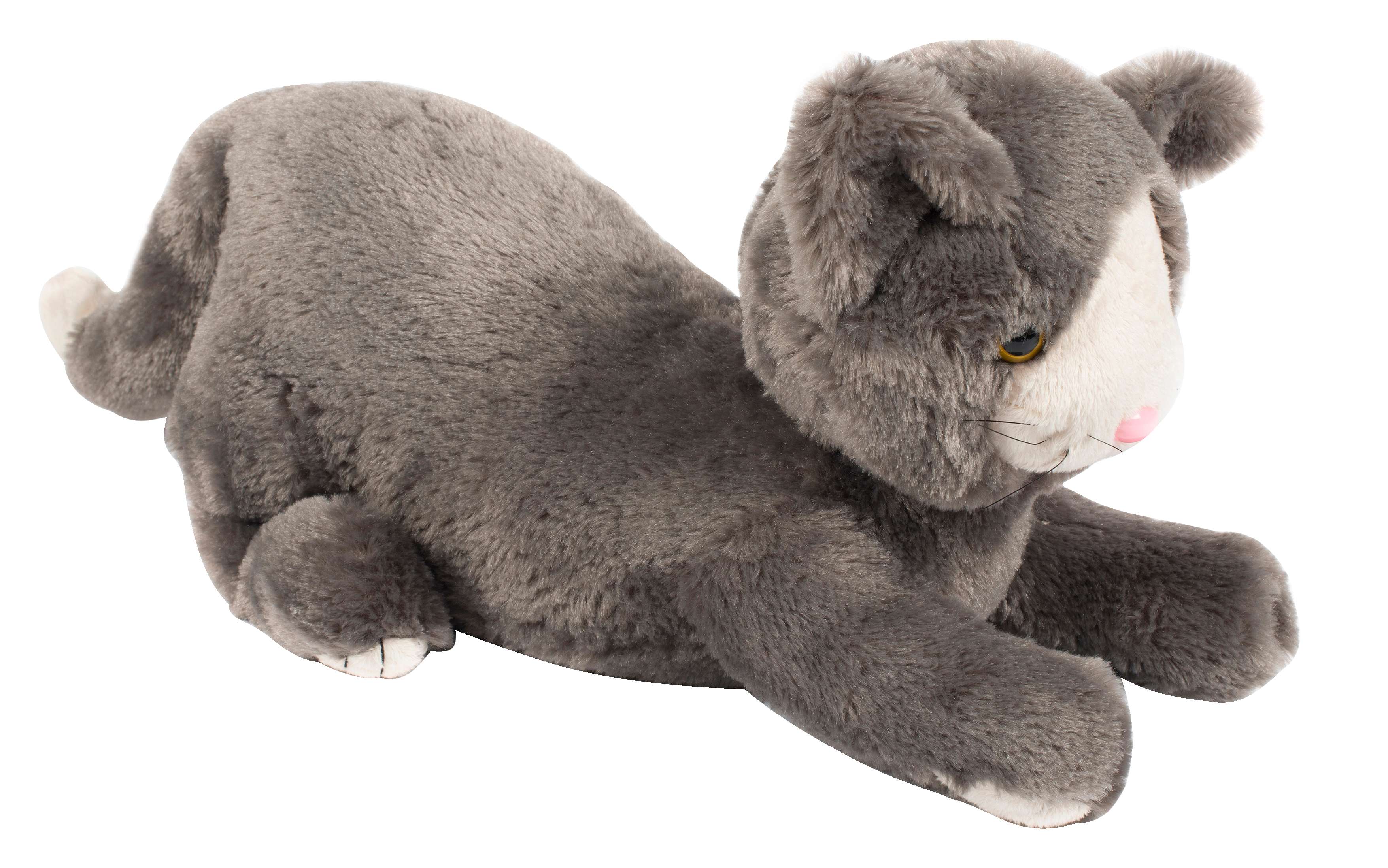 Spordas Gewichtstier „Katze“