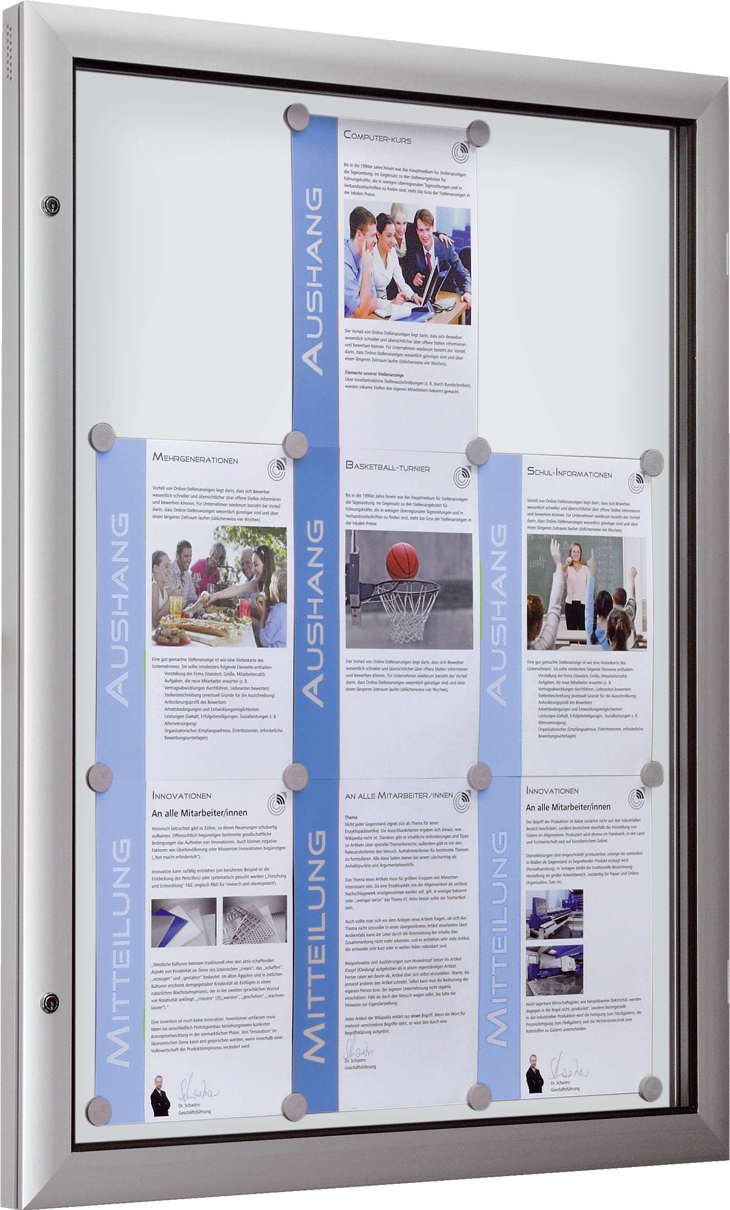 Schaar Design Flachschaukasten „Hochformat“, 540x800x43 mm, Rückwand: Weiß