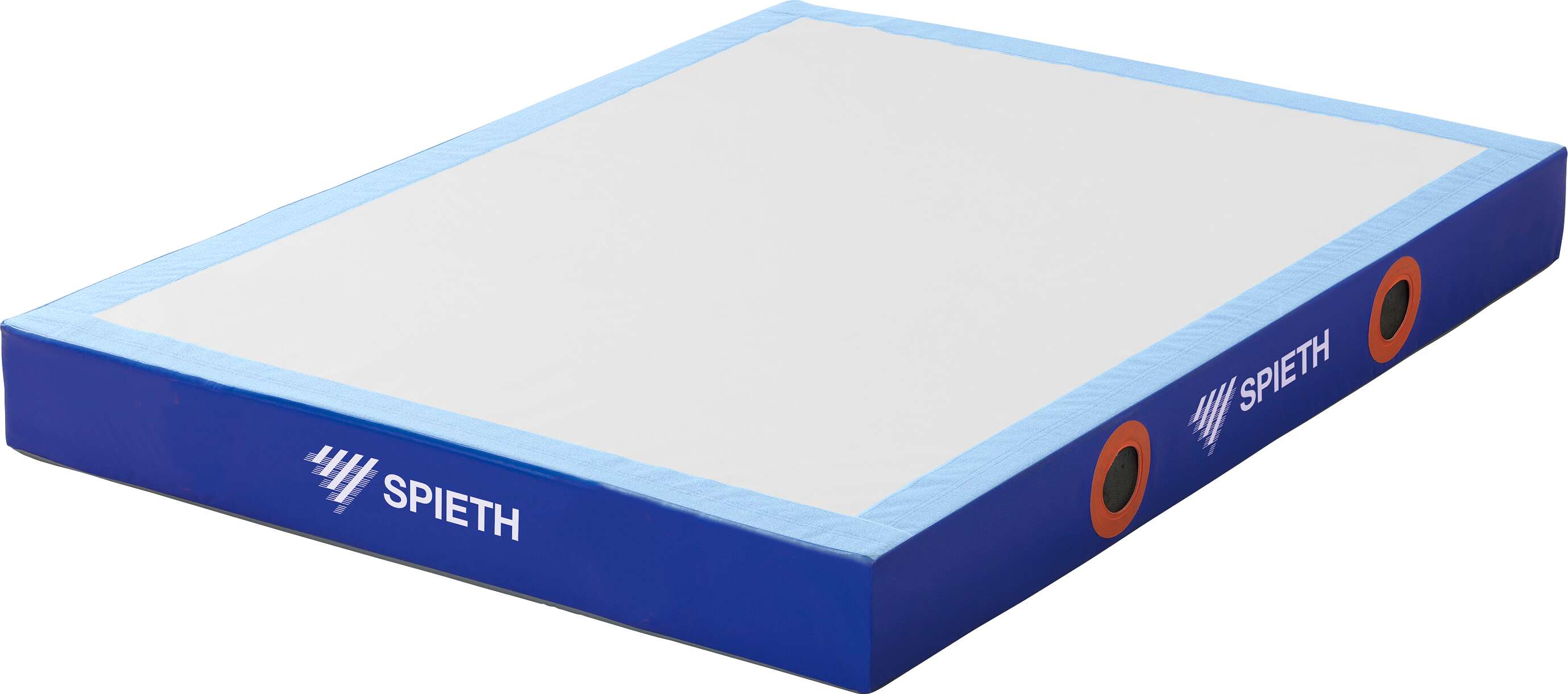 Spieth Niedersprungmatte „Anti-Virus Basic“