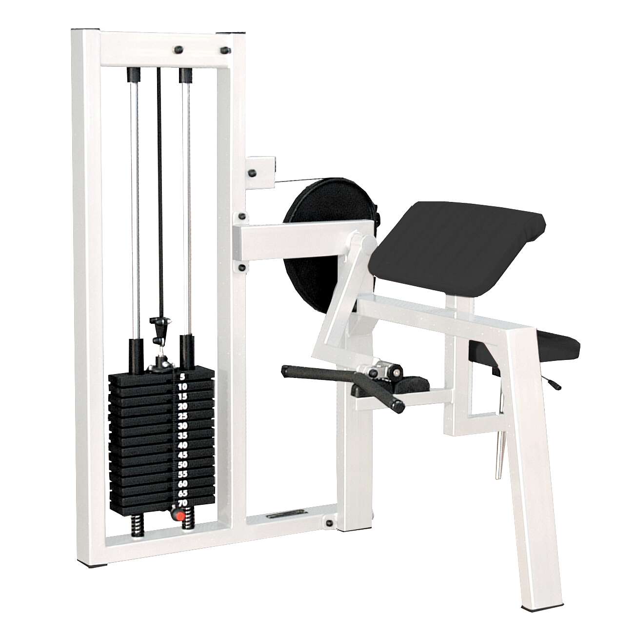 Sport-Thieme Bizepsmaschine „SQ“, Ohne Lochblechverkleidung