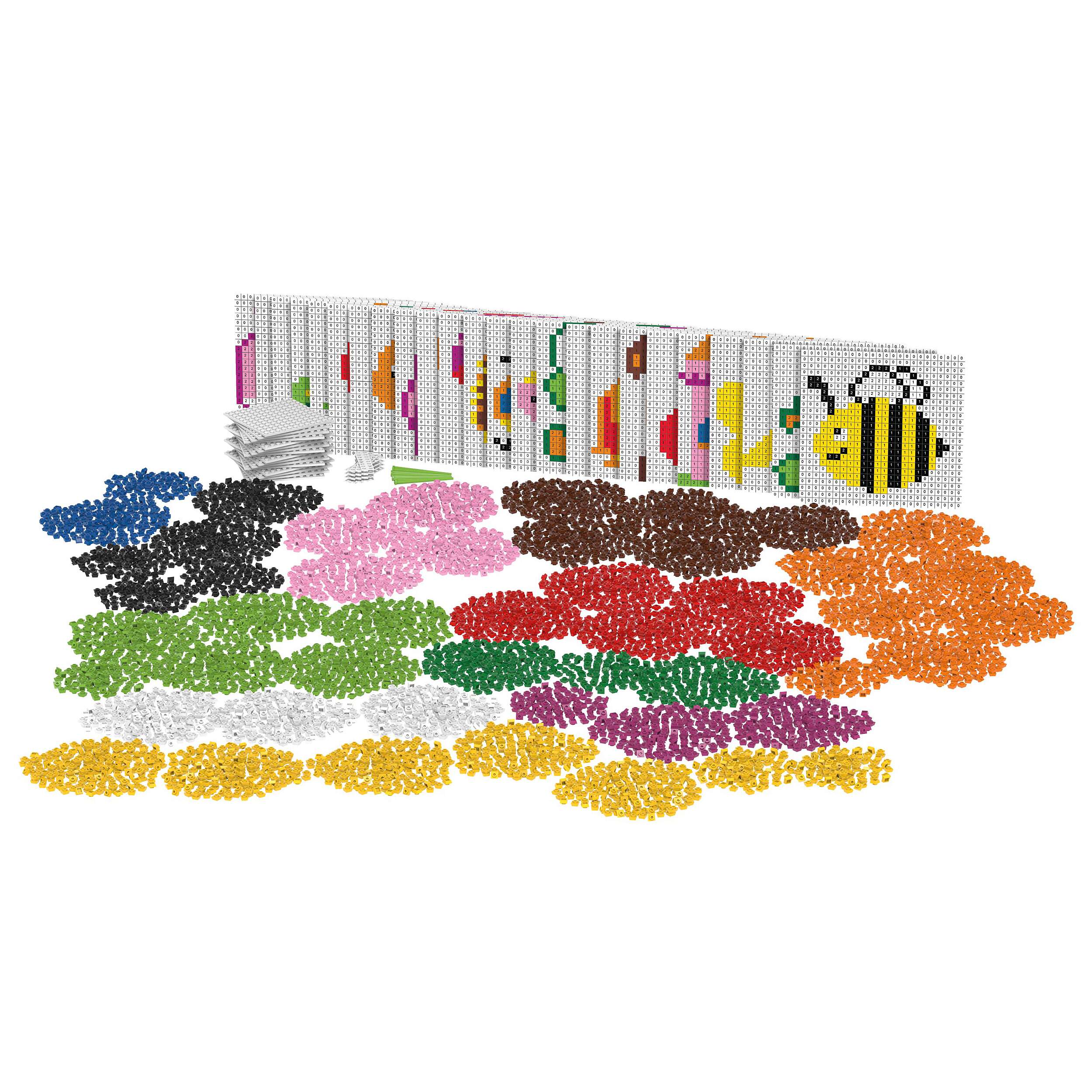 Biobuddi Lernspiel „Edukatives Starter-Set“