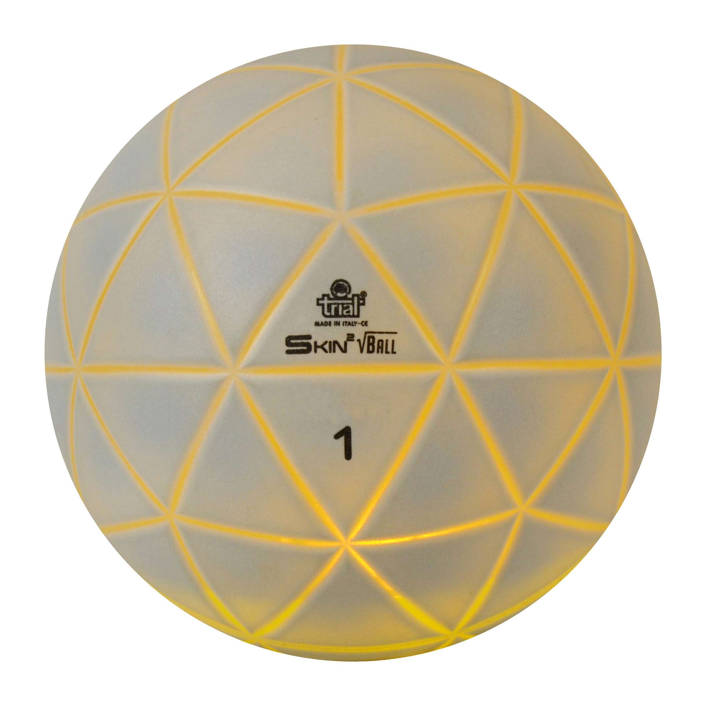 Trial Gewichtsball „Skin Ball“, 1 kg, 20 cm