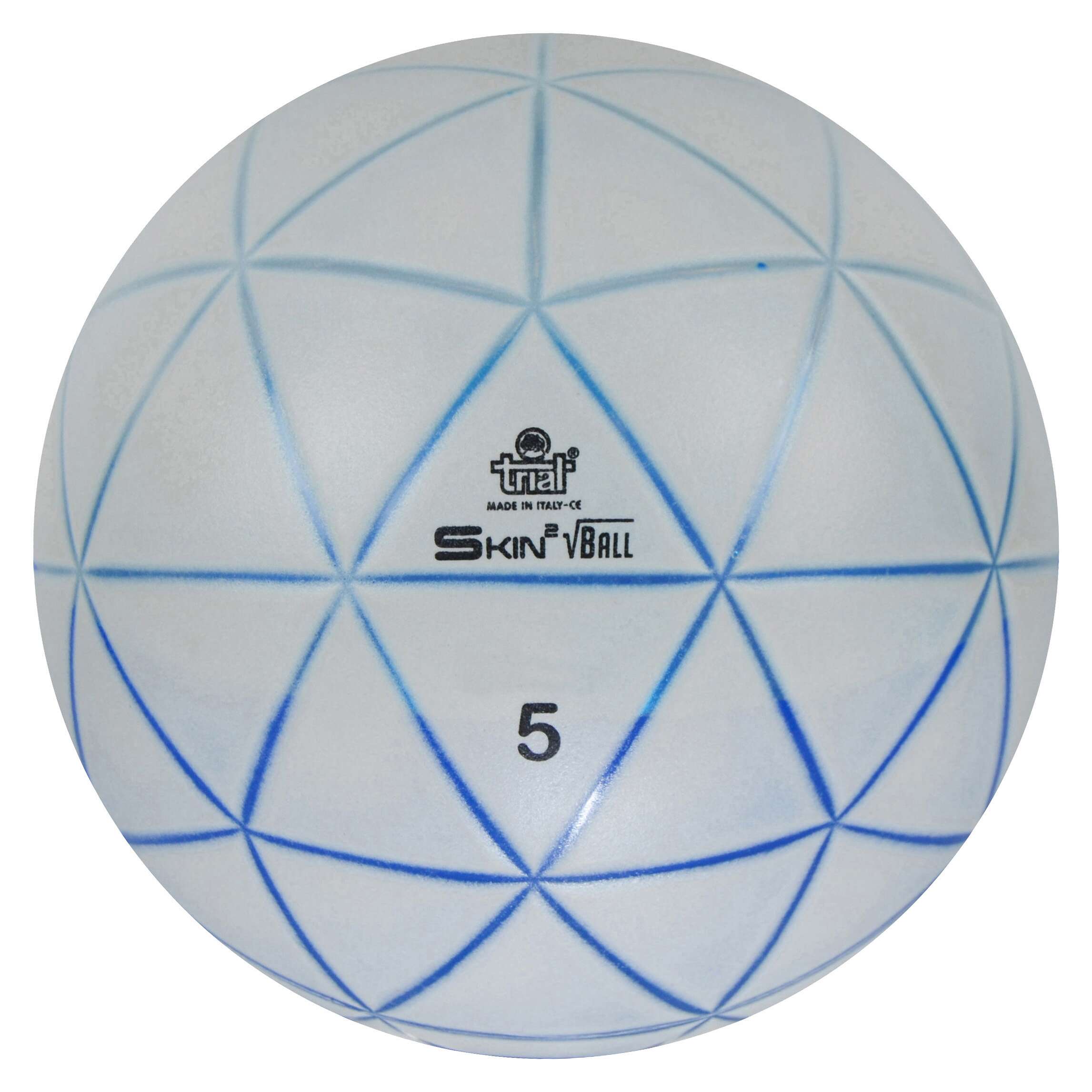 Trial Gewichtsball „Skin Ball“, 5 kg, 26 cm