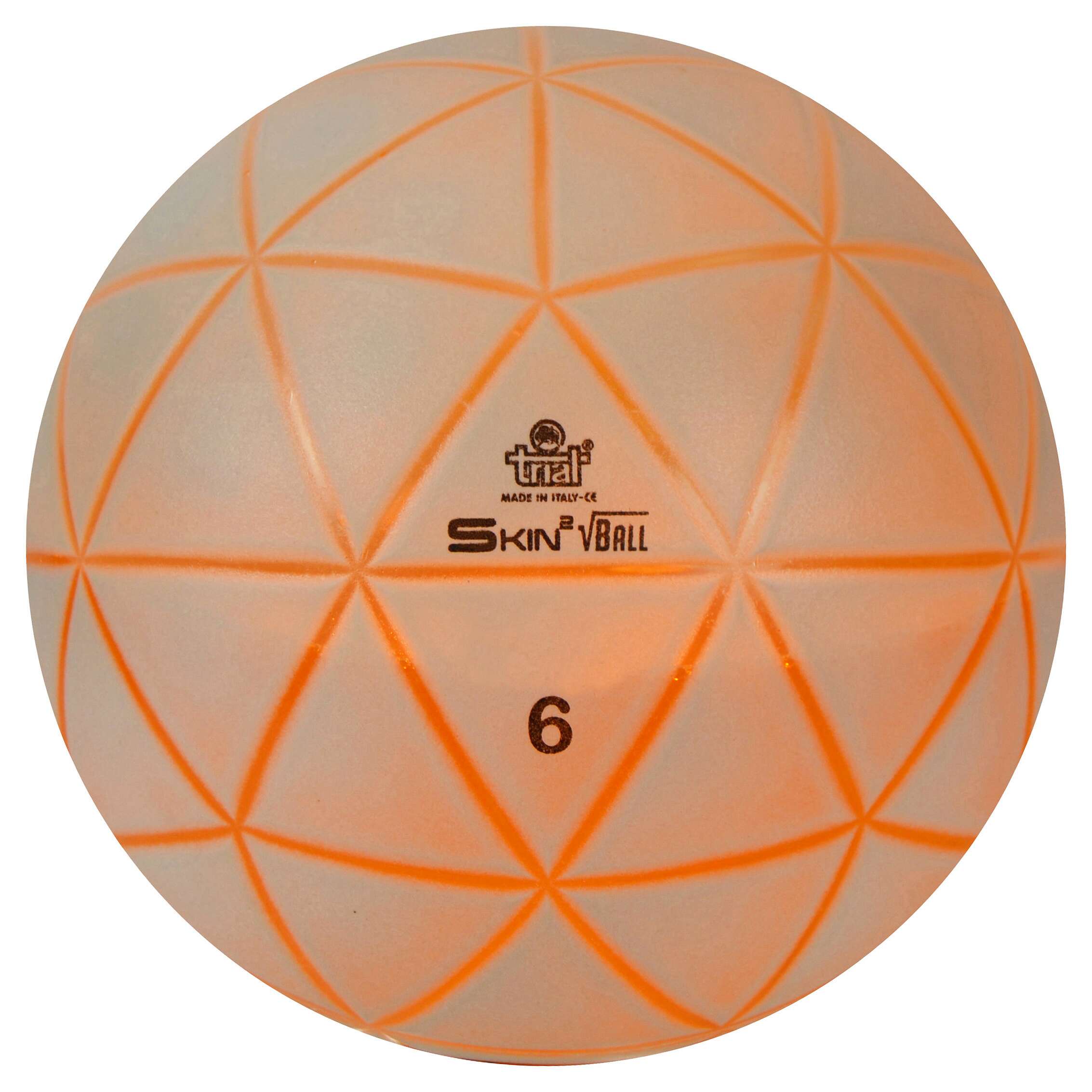 Trial Gewichtsball „Skin Ball“, 6 kg, 26 cm