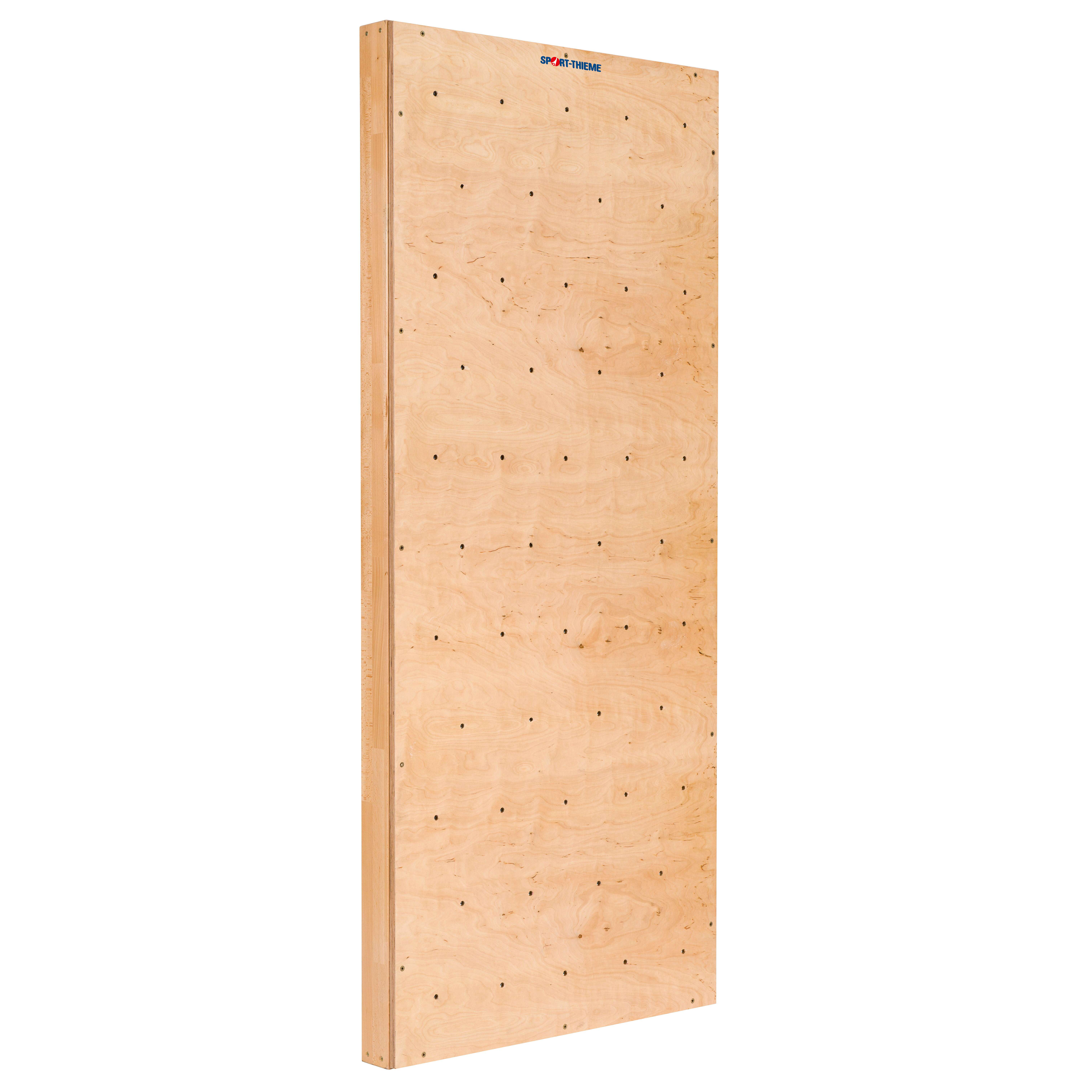 Sport-Thieme Turnwand-Einzelelement „TuWa Kletterwand ohne Griffe“