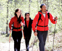 Nordic Walking Stocklänge