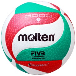 Molten Volleyball "V5M5000"