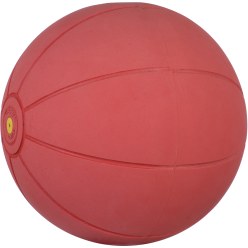 WV Medizinball