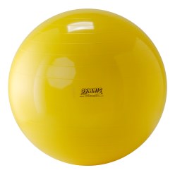 Gymnic Fitnessball ø 95 cm