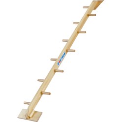 Sport-Thieme "Kombi" Half Ladder