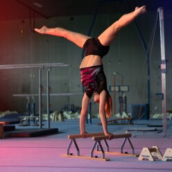 Sport-Thieme Handstand-Übungsbarren