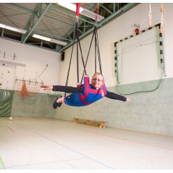 Sport-Thieme® Suspended Swing