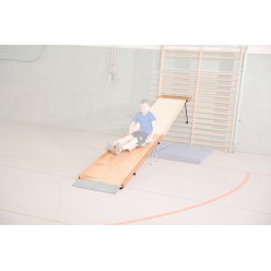 Sport-Thieme® Slide Wall Bars Set 2