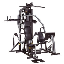 Horizon Fitness® "Torus 5" Multigym