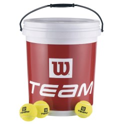 Wilson® Training Balls