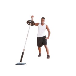 Sport-Thieme Landmine Press "Profi"