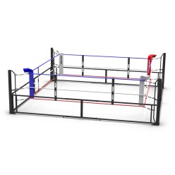 Sport-Thieme Boxring "Klappbar"