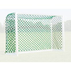 "Special" Leisure Goal Net