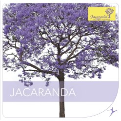Togu® CD "Jacaranda"