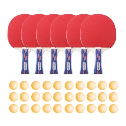 Sport-Thieme "Champion" Table Tennis Set for Schools and Clubs