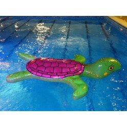 Airkraft® Turtle