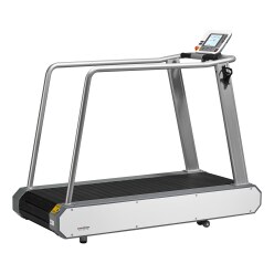 Emotion Fitness &quot;Motion Sprint 600&quot; Treadmill